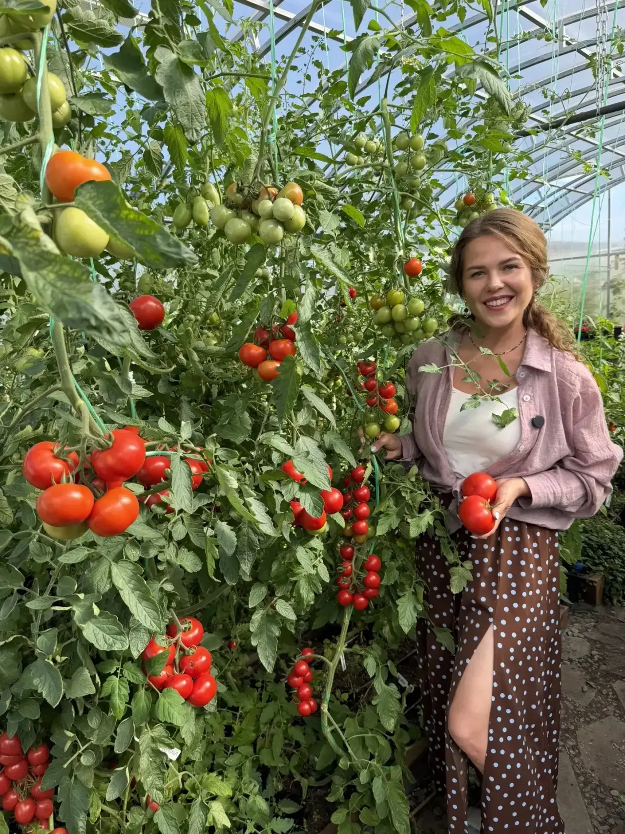 Не томат , а мясо - часто слышу такое описание крупных помидоров 🍅