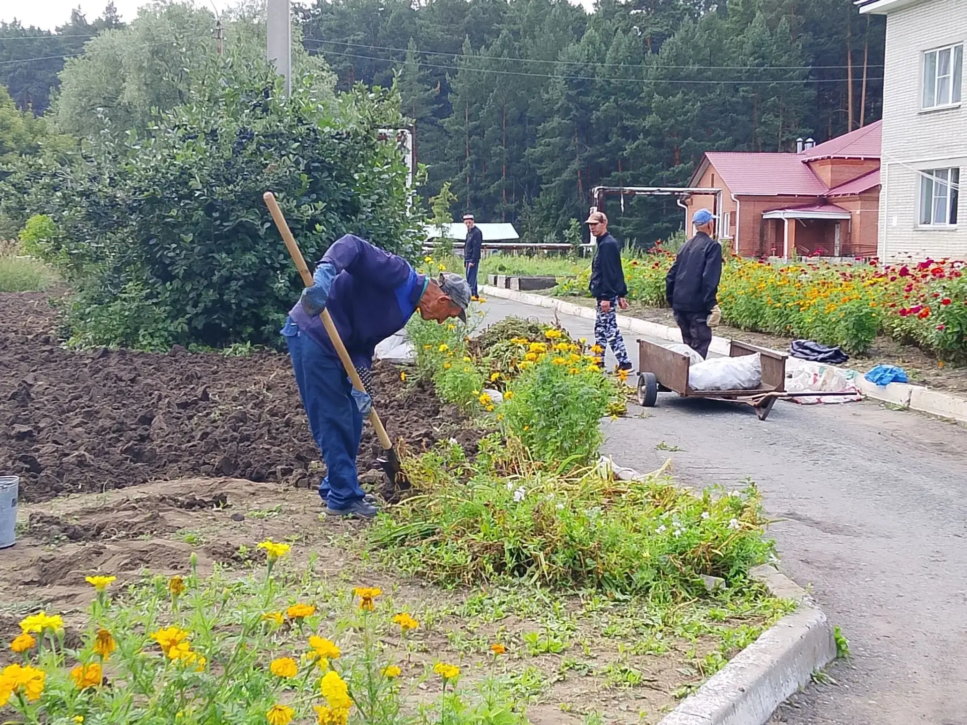 ГБУ ПНИ "Зелёный бор".
