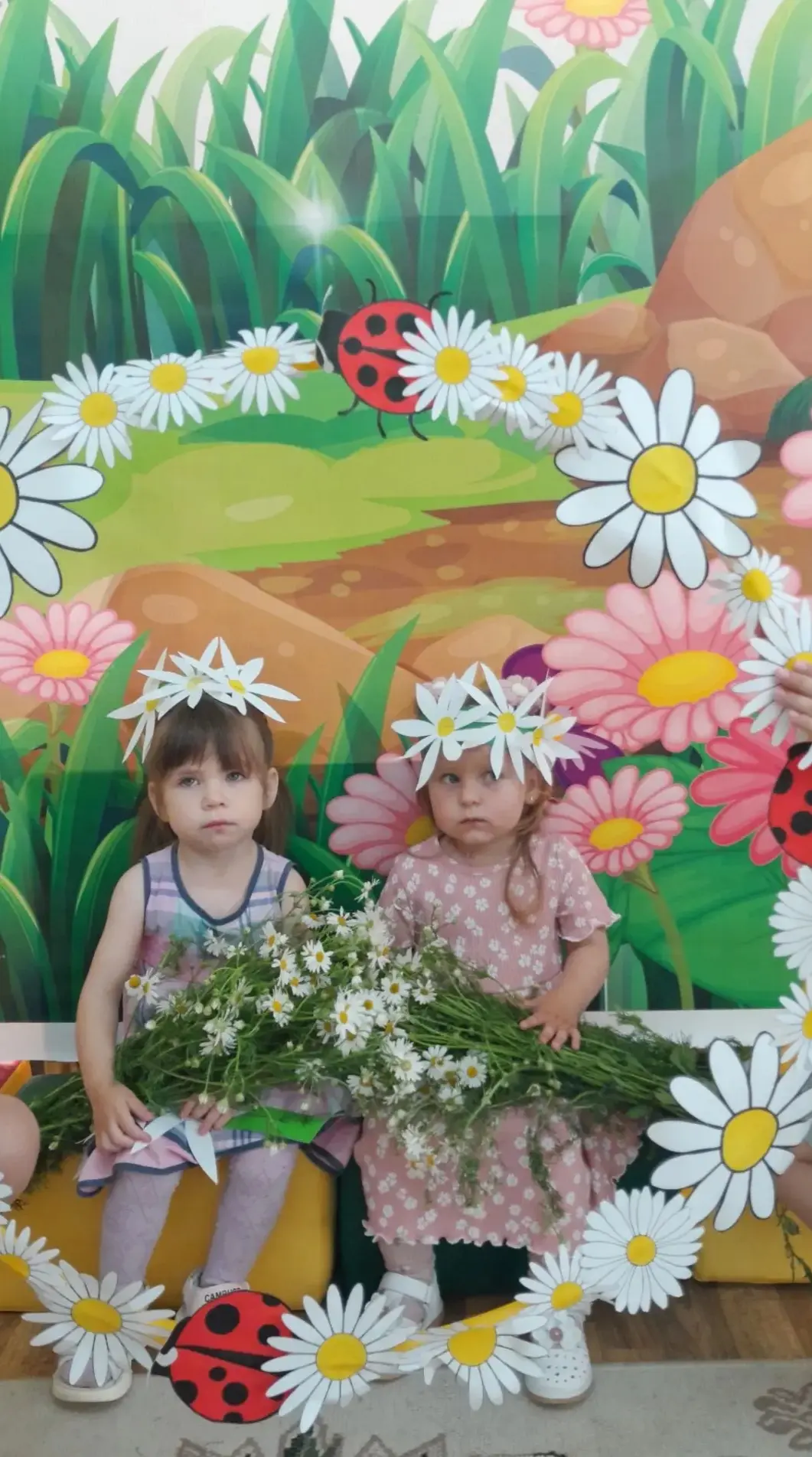День ромашки в детском саду.