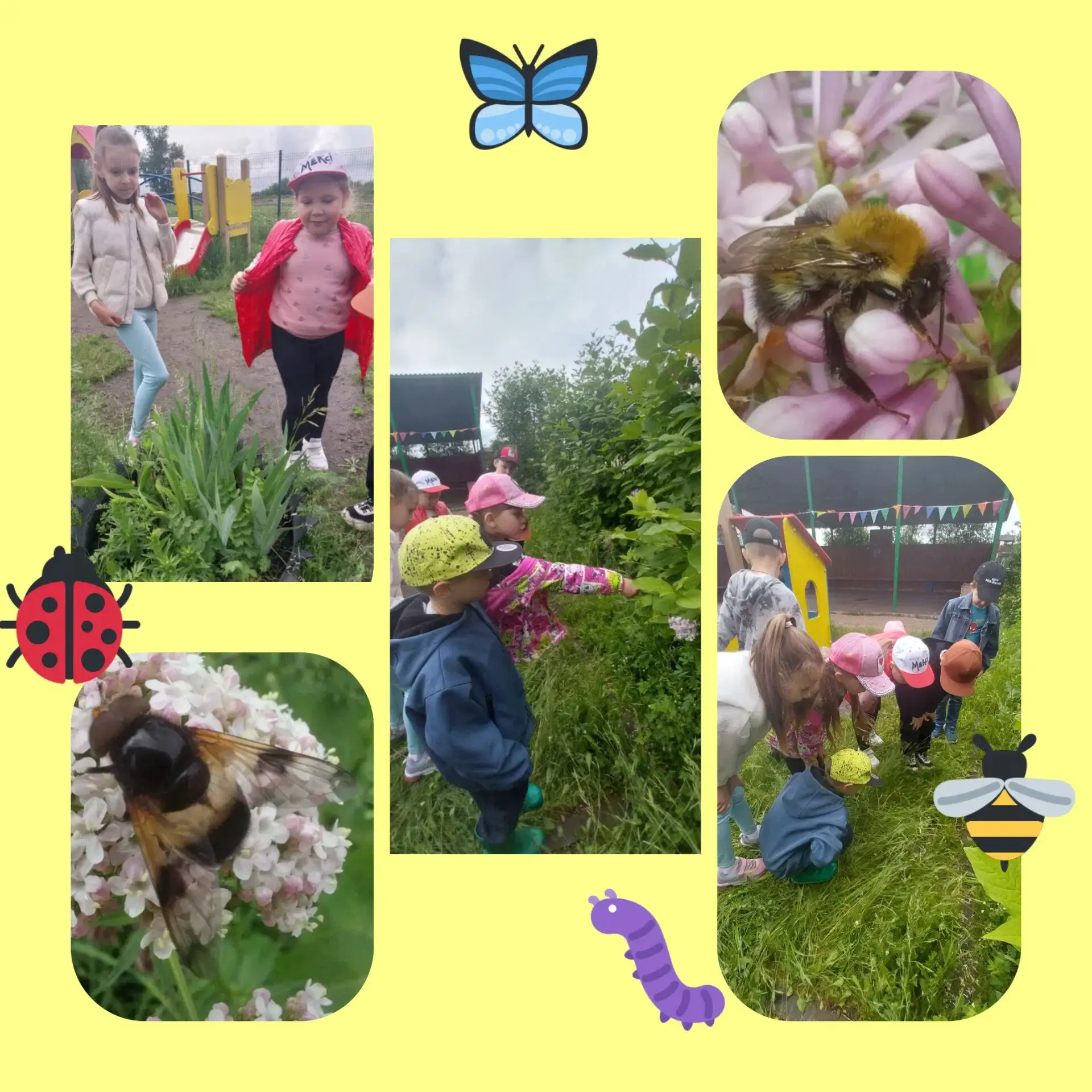🐜 «Насекомые вокруг нас» – наблюдения 14 группы 🐞🦋

Сегодня подготовительная группа №14 превратил