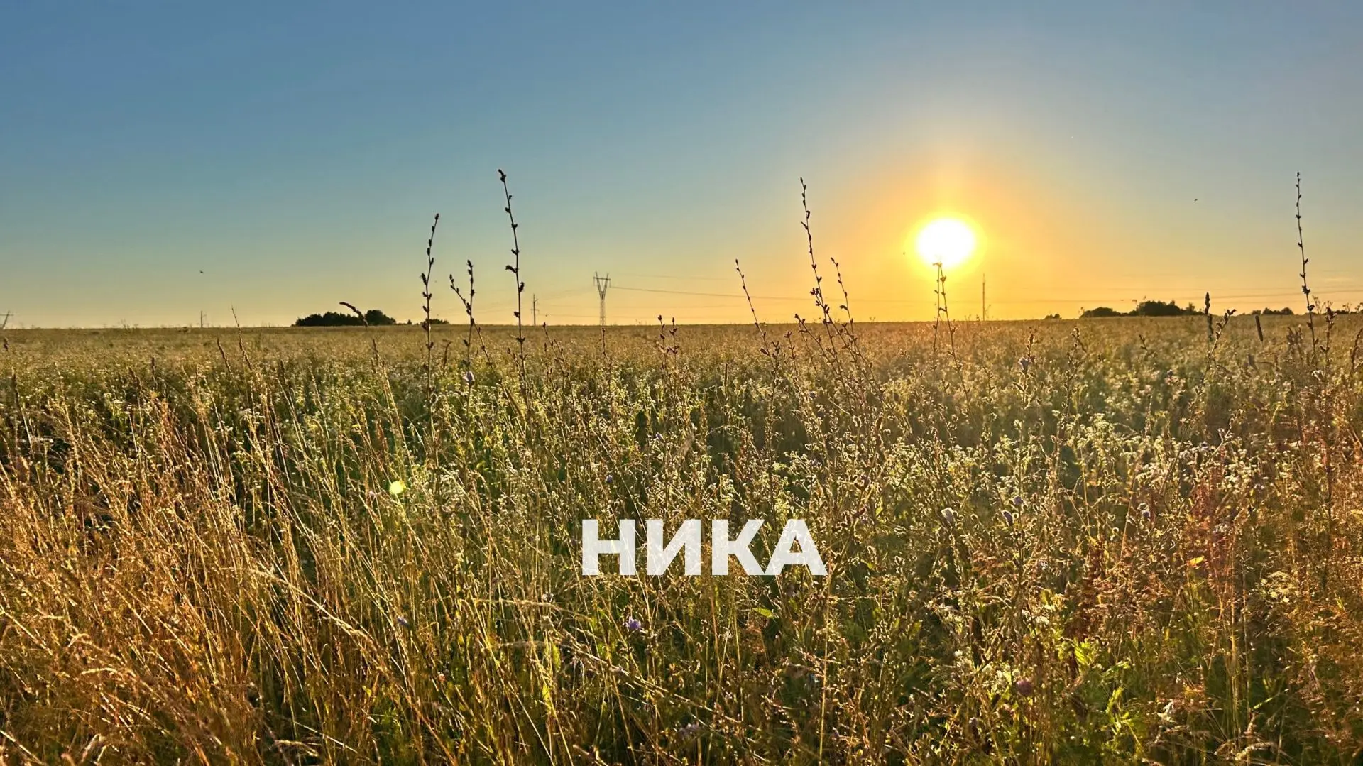 🌞Нас ждут настоящие летние выходные!

Жара до +30 и солнце — такой замечательный прогноз сулят сино