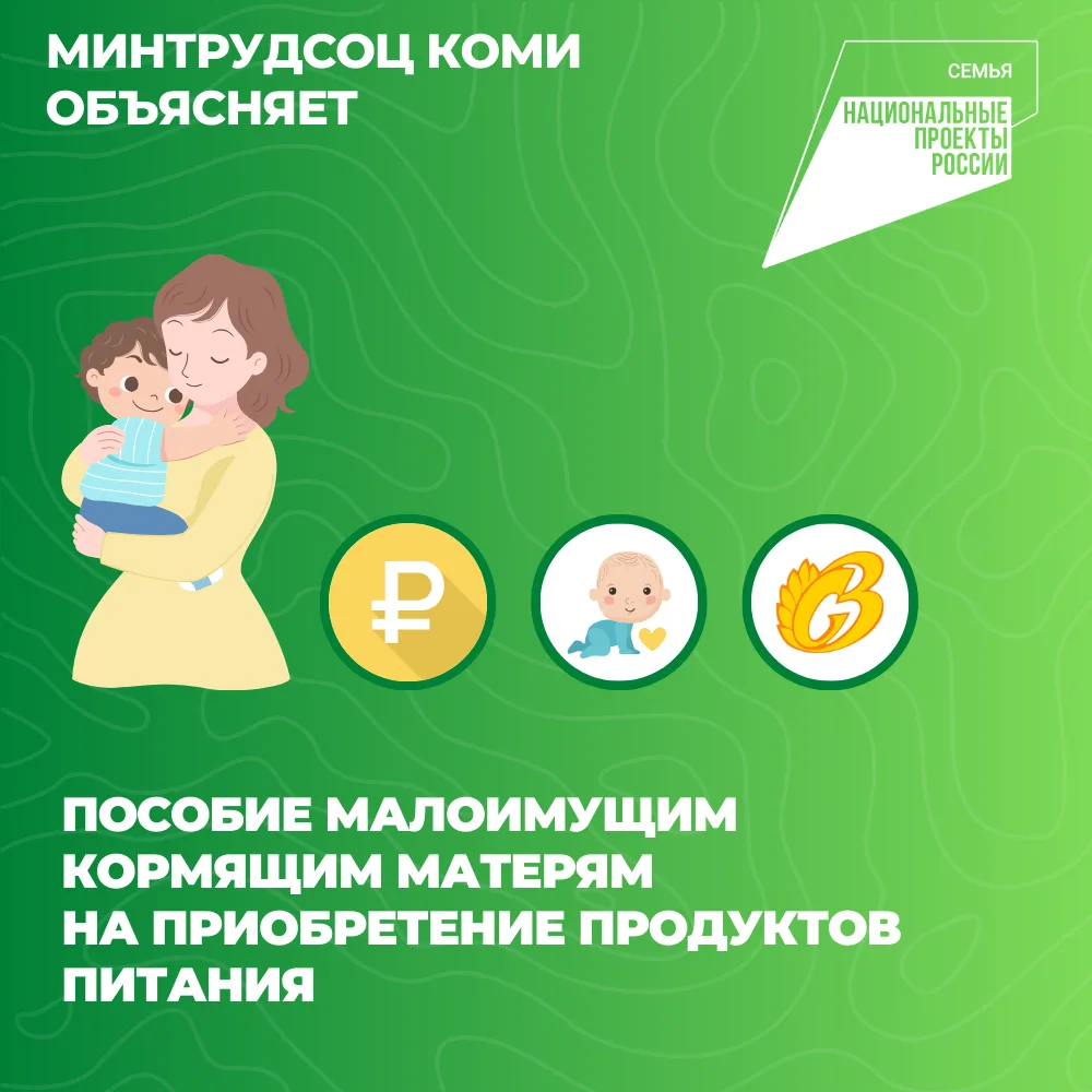 Нацпроект "Семья": в Коми малообеспеченные кормящие матери получают пособие на покупку ...