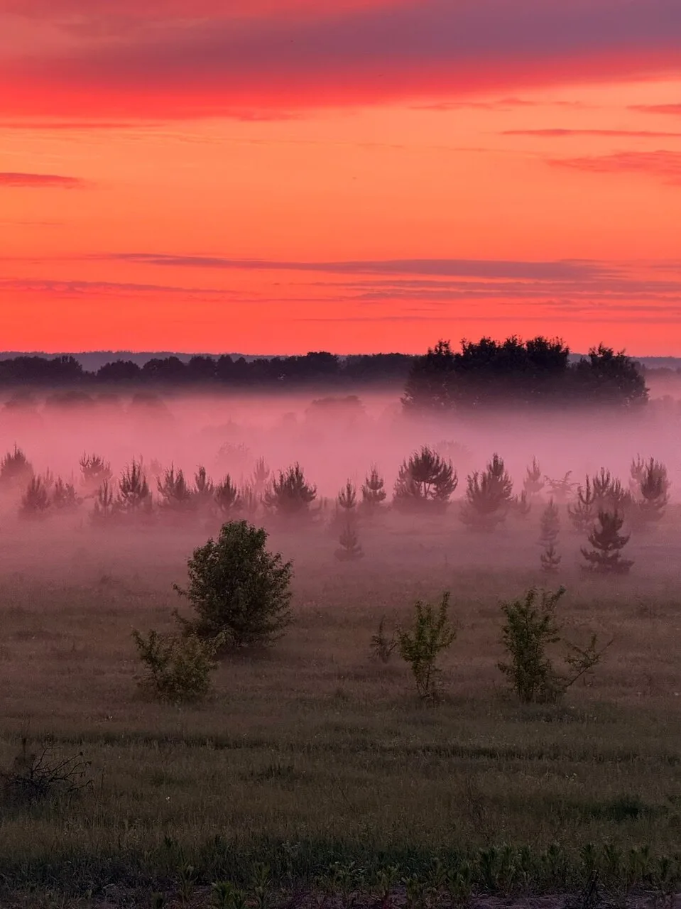 Ηижeгopoдcкaя область 🧡
~Путешествия landscape~

🍿Природа и Путешествия  - Подписаться