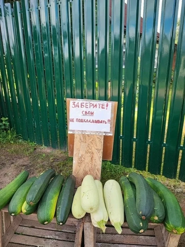 Началось :)