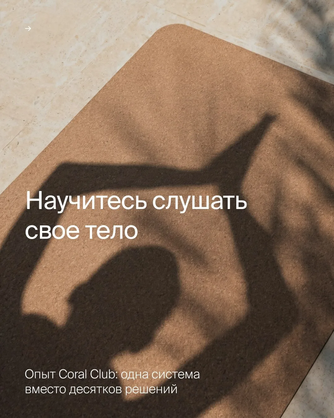 Организм — целостная система