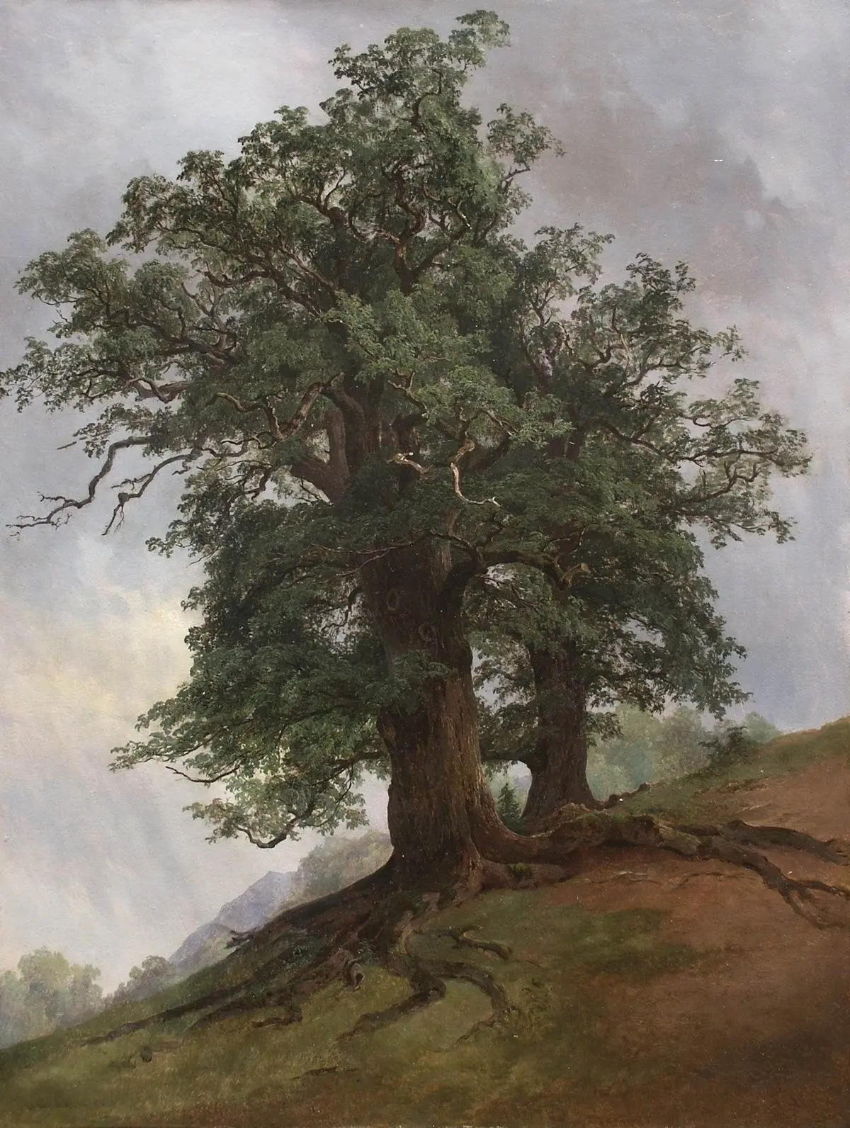 "Старый дуб", 1866 г.

Иван Иванович Шишкин (1832-1898). Холст, масло.

История в Деталях | Подписат