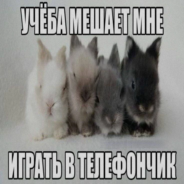 Мемы недели сегодня выбирали не мы 👀