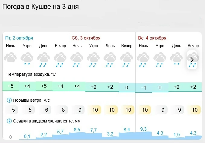 Готовы к снегопаду завтра?
