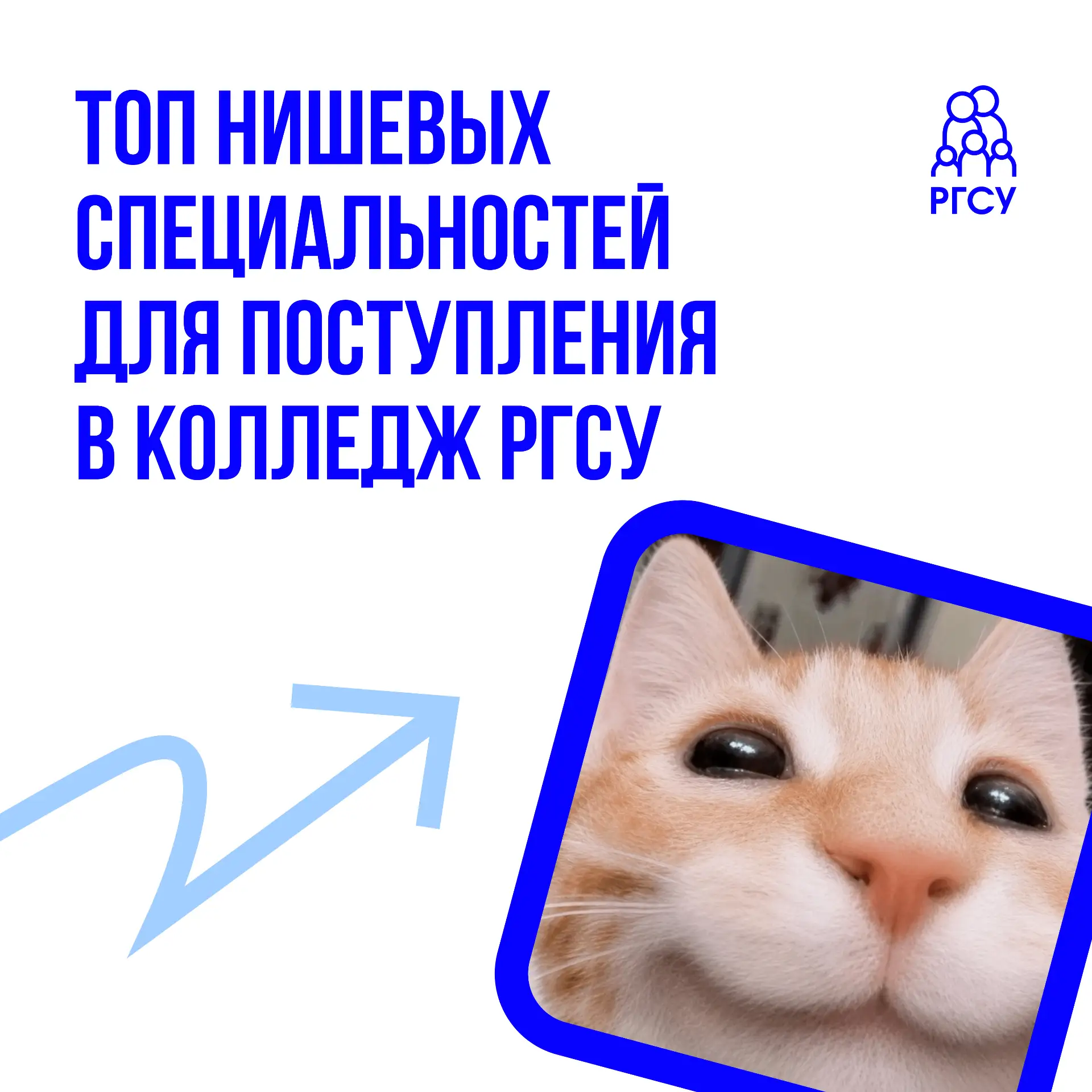 В вашей ленте снова нишевые специальности! Соскучились?