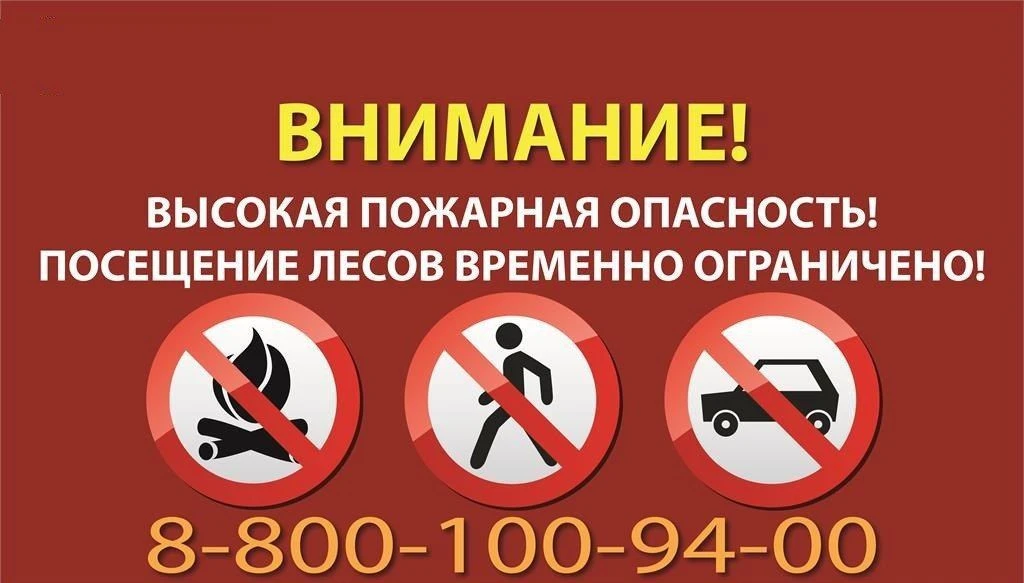 В Астраханской области с 22 июня введено ограничение пребывания граждан в лесах и въезда в них транс