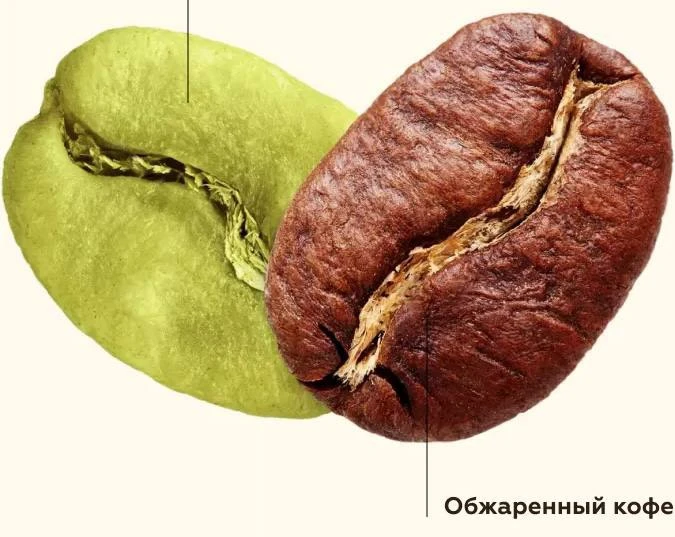 ☕ Кофе и холестерин.  Способ заваривания важнее, чем сорт?

     Среди множества разговоров о пользе