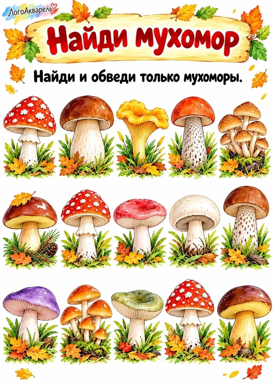 🍄 6 ОКТЯБРЯ — ДЕНЬ РОЖДЕНИЯ МУХОМОРА!