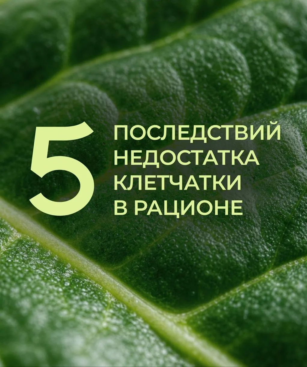 💭А вы следите за уровнем клетчатки?