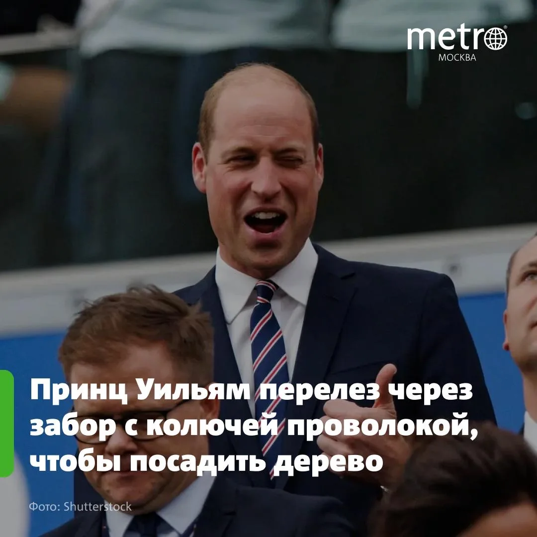 Принц Уильям перелез через забор с колючей проволокой, чтобы посадить дерево