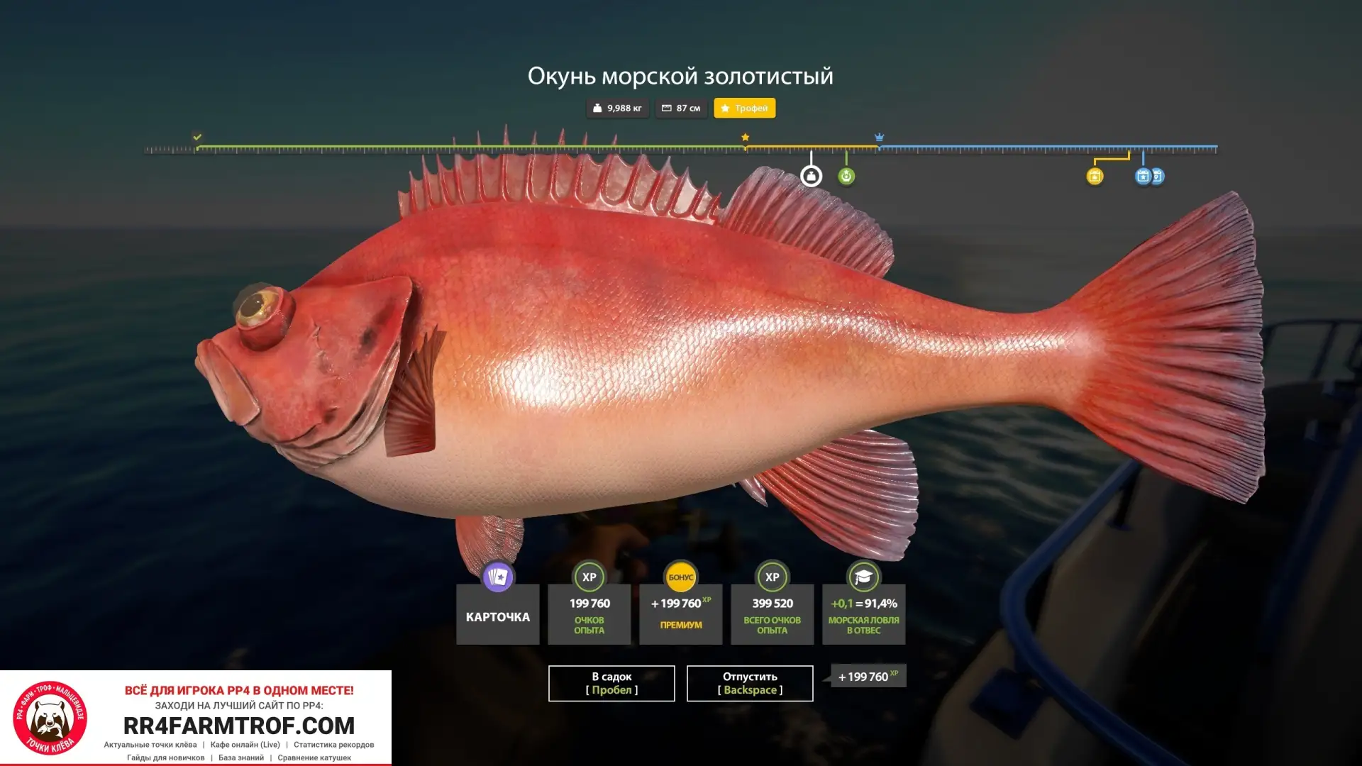 #норвежское@pp4farmtrof