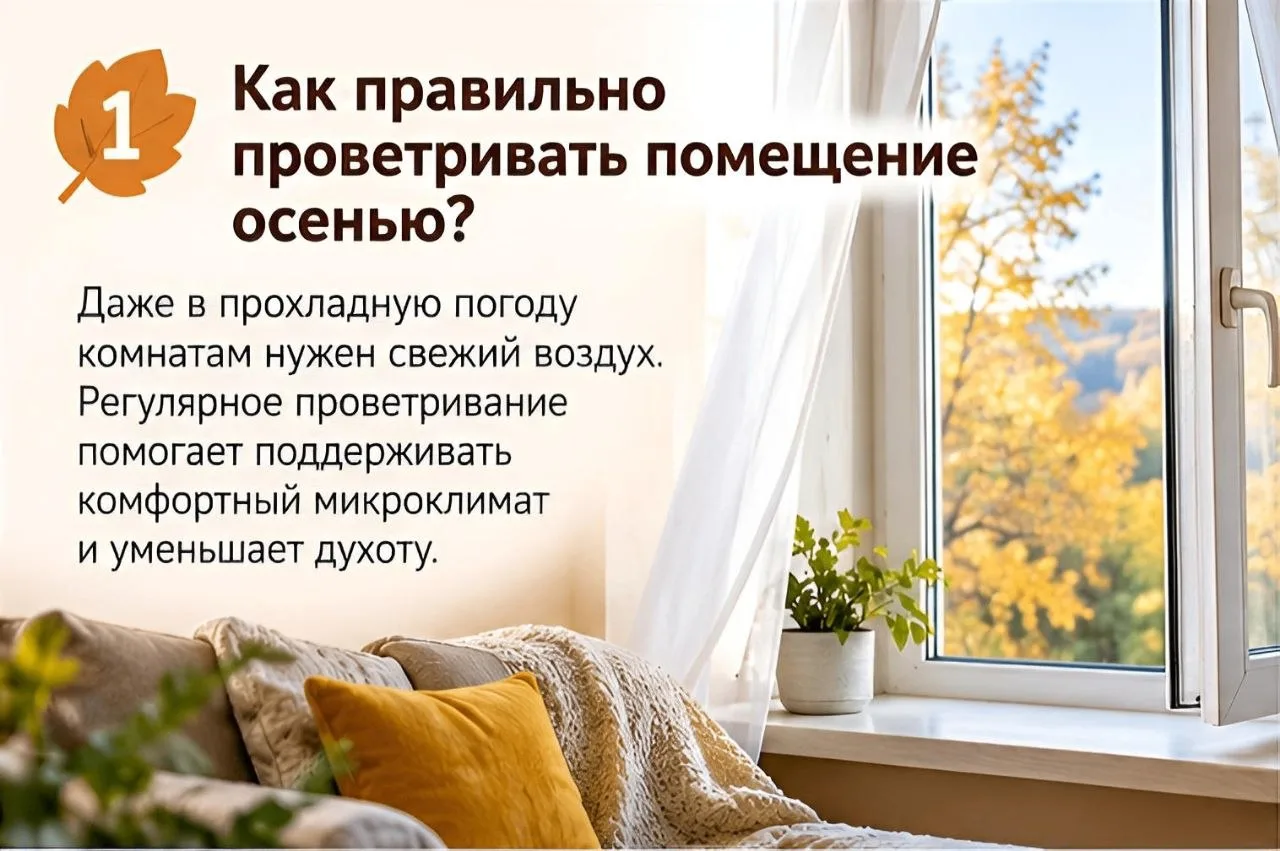 Көзен бүлмәне ничек дөрес җилләтергә? 🍂Киңәшләрне безнең карточкаларда укыгыз.