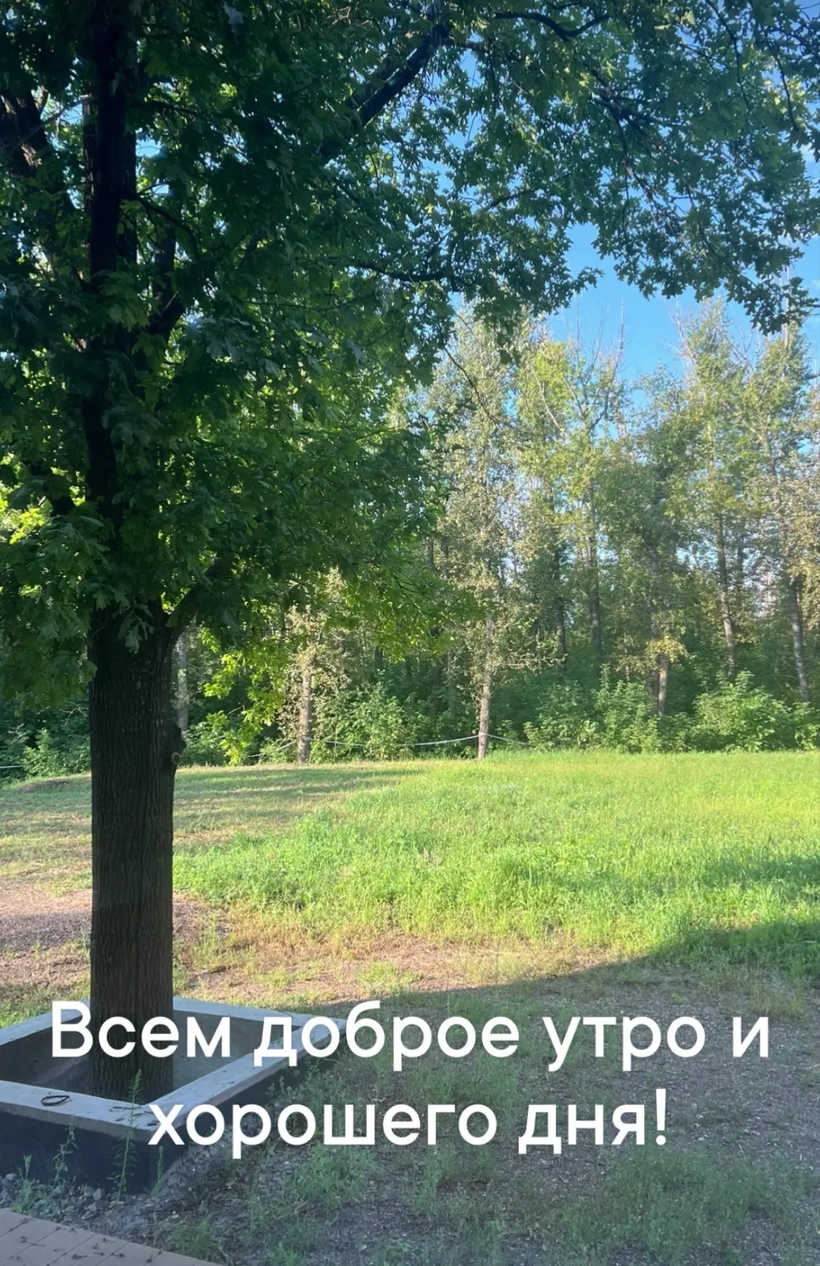 У меня в планах на сегодня прием и дела девочек.

У девочек сегодня Английский, акробатика, а дома з