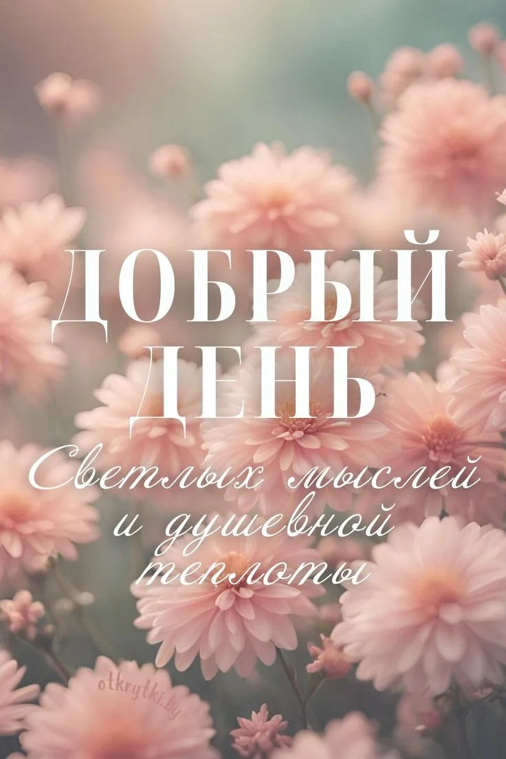 ☀️ Добрый день, дорогие друзья!   Пусть он будет спокойным и плодотворным — чтобы всё важное получал