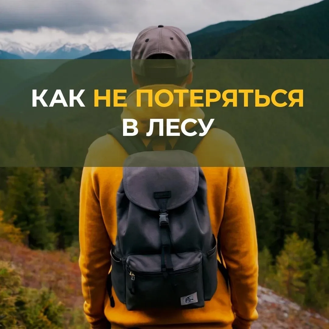 #длявсегокрая

Лето — время звать друзей в поход! Но даже в родном лесу важно помнить — природа люби