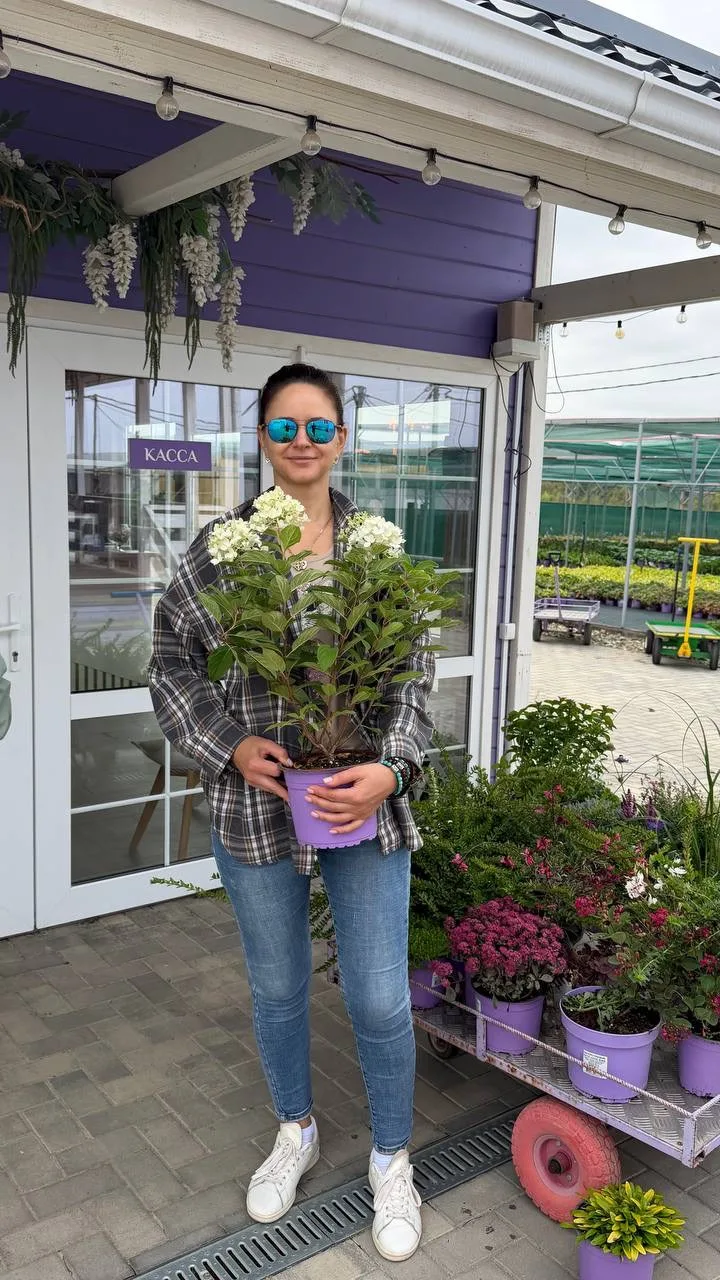 Кажется, беспроигрышная лотерея вам понравилась!😍💜