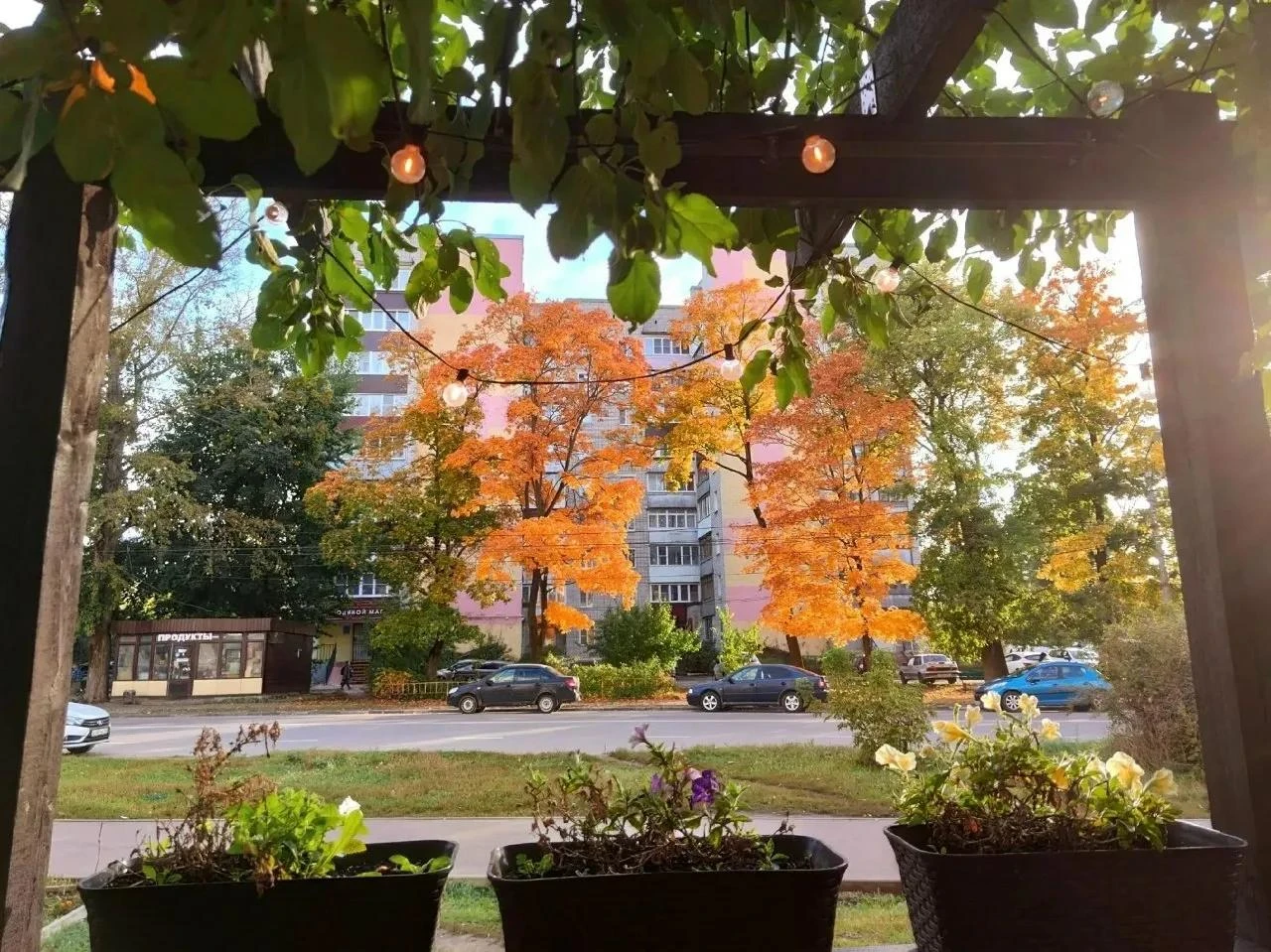 🍂 Осенний Елец