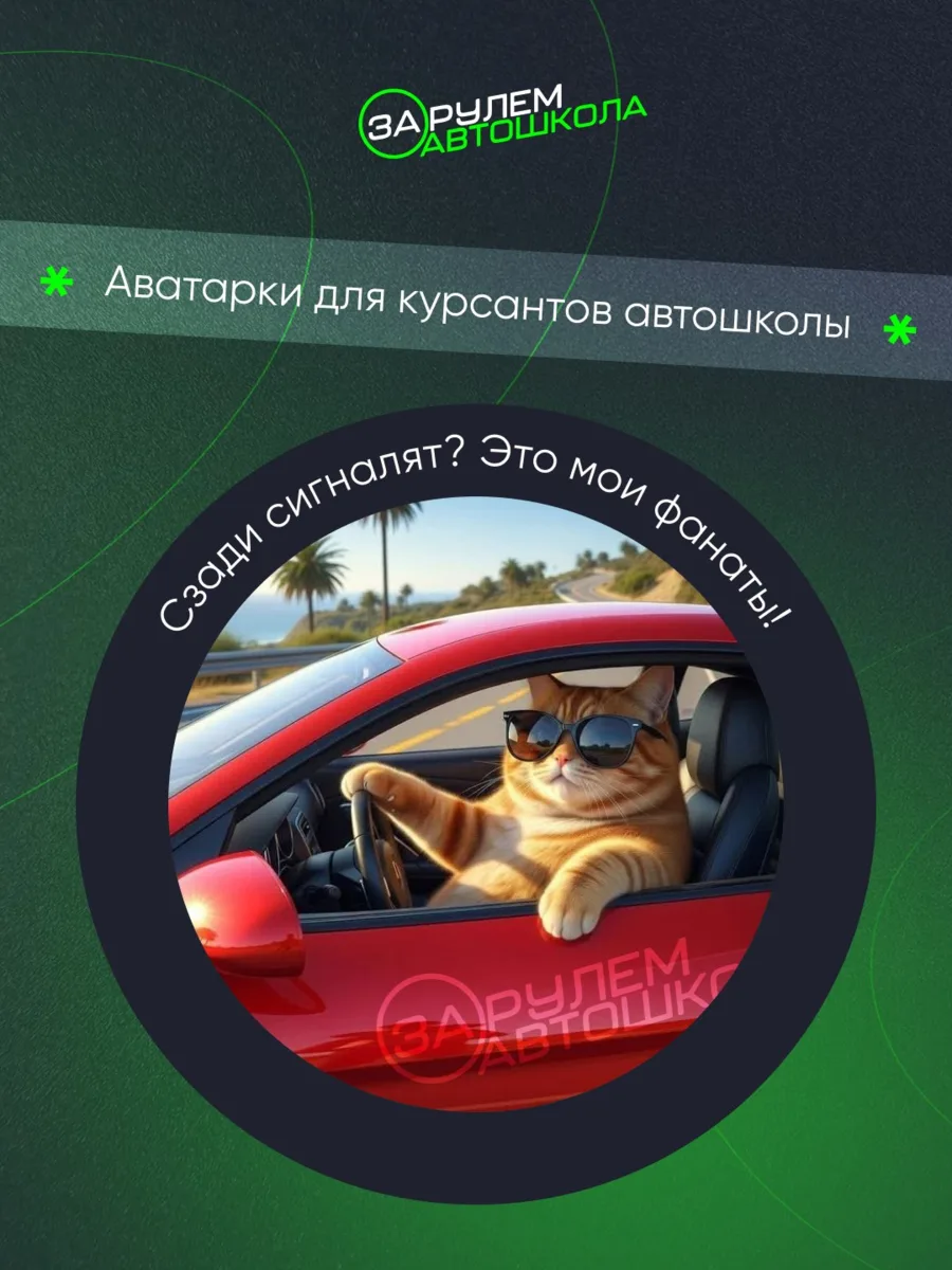 Кот на аве — права в кармане 😎