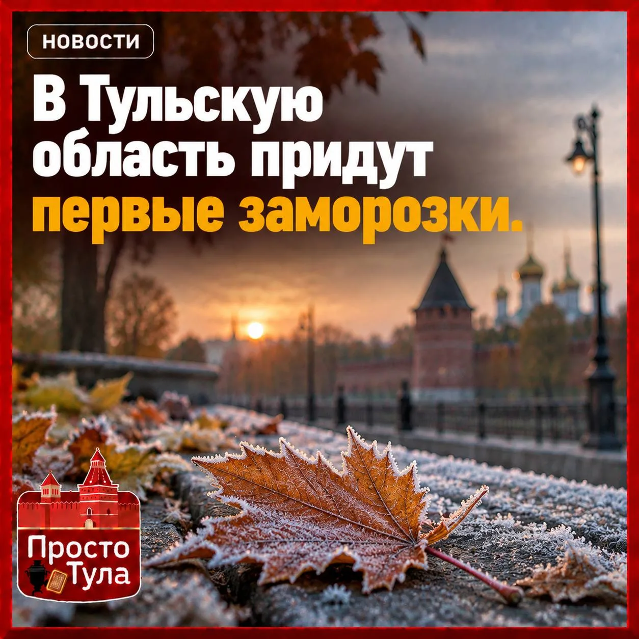 🥶 В Тульскую область придут первые заморозки.
