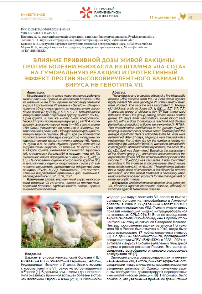 Защита от высоковирулентного вируса ньюкаслской болезни генотипа VII: роль прививной до...