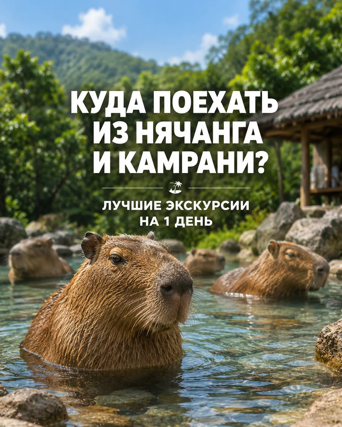 Куда съездить на однодневную экскурсию из Нячанга? 🤔🇻🇳