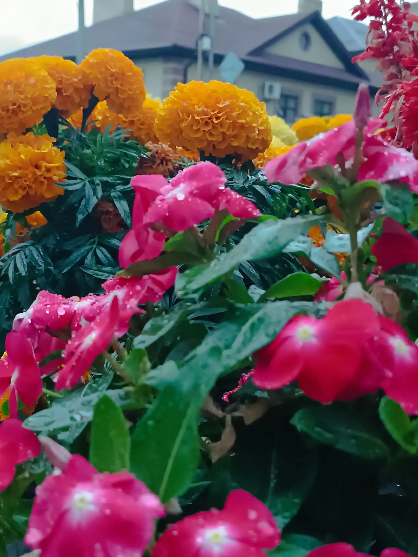 Доброе утро, Каменск ☀ 🌝⏰