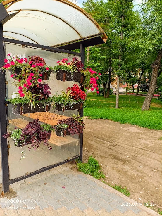 Доброе утро! ☀️
Знаете, к чему я до сих пор не могу привыкнуть после Севера в Красноярске? К тому, ч