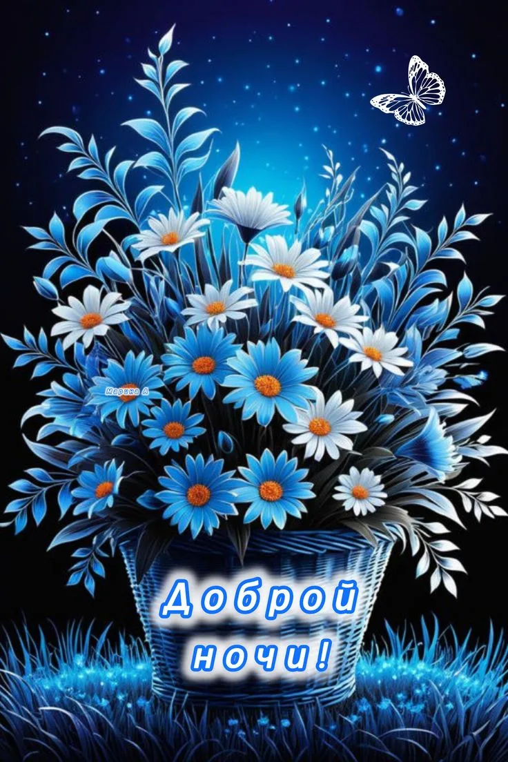Доброй ночи! Прекрасных и сладких снов! ✨🌙