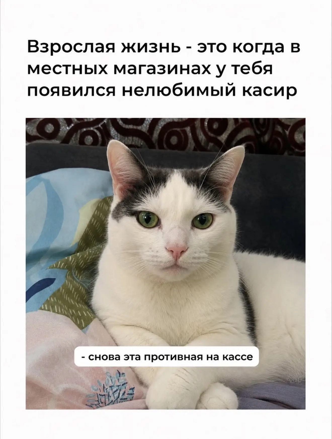 И заключительный пожалуй😅