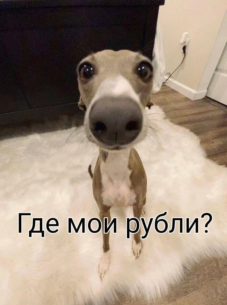 День «Переведите деньги дочери» празднуют сегодня