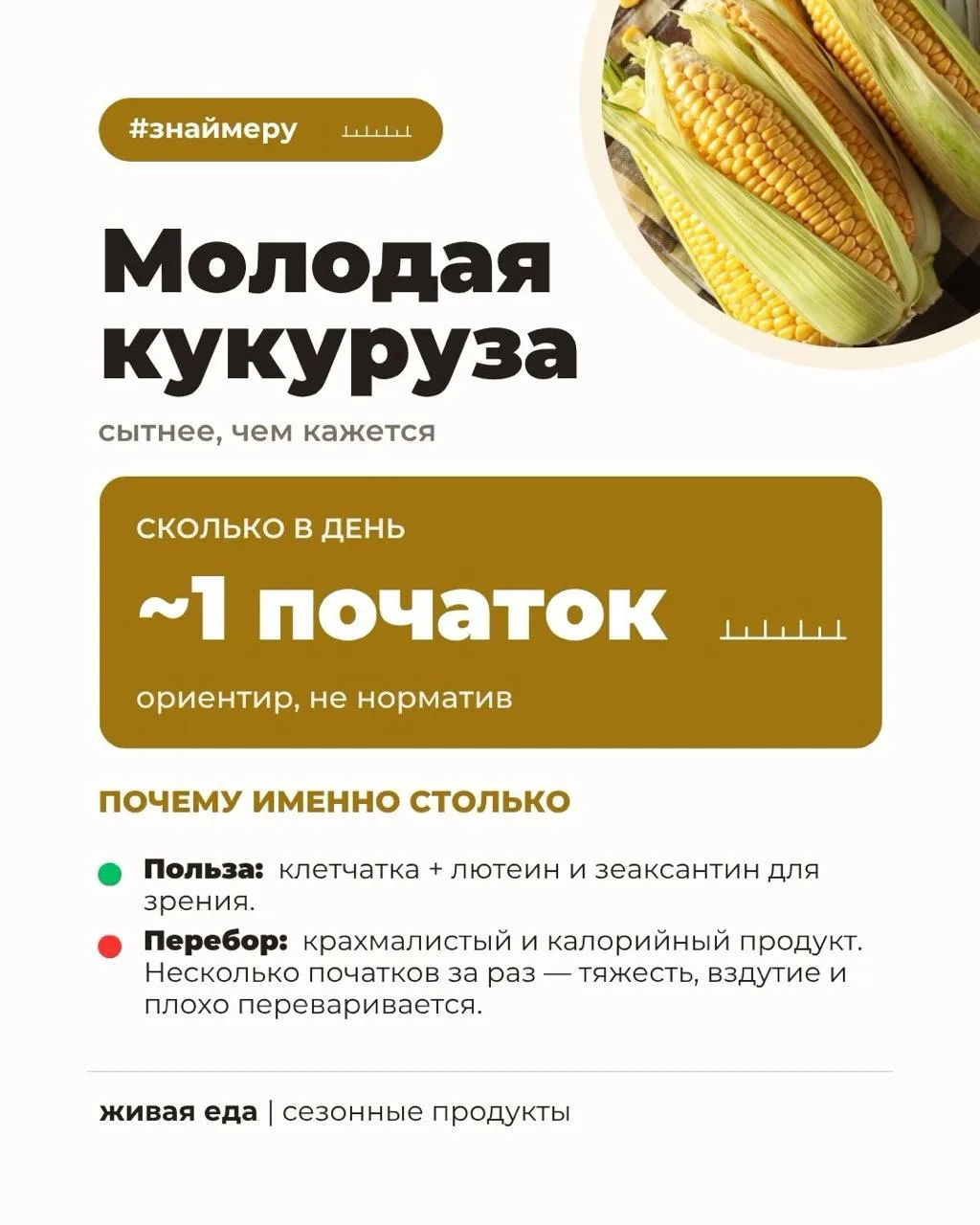 Варёная кукуруза с солью — вкус лета! Но это сытнее, чем кажется 🌽 Рассказали, сколько в день — ком