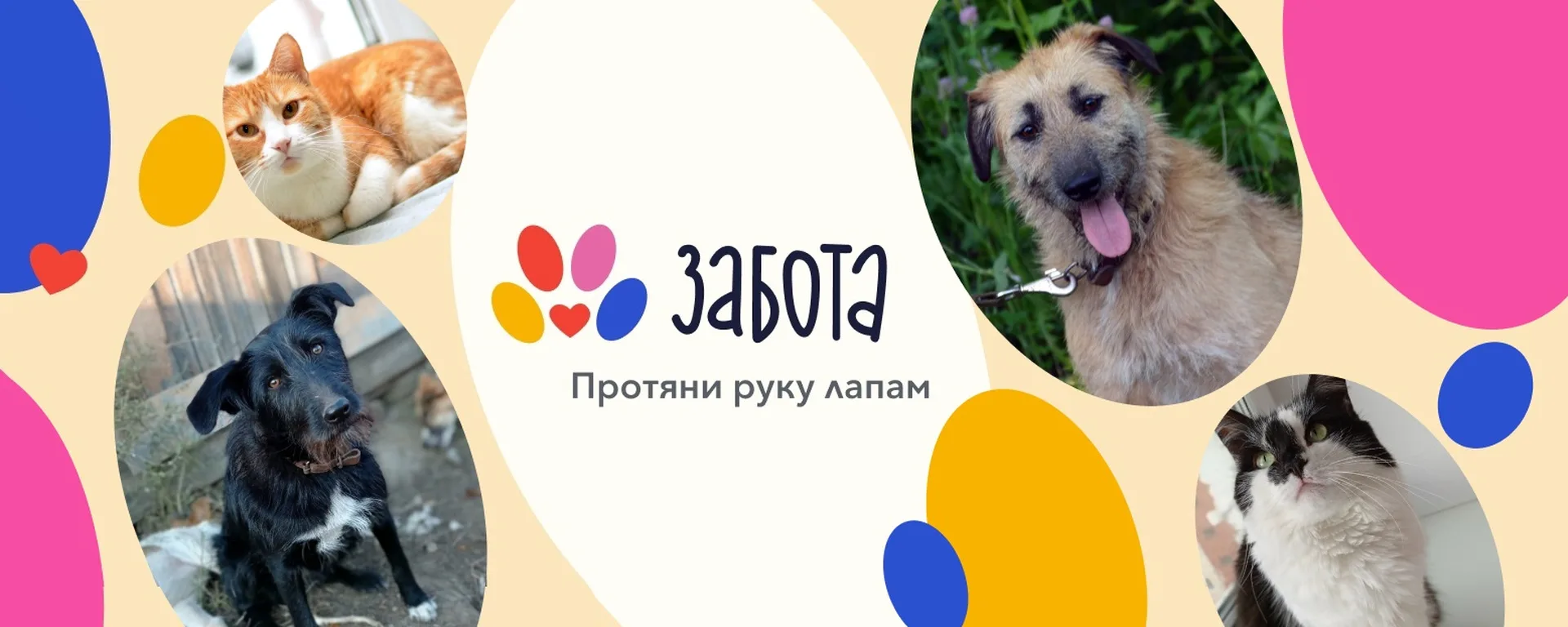 🤝️Дорогие ребята, уважаемые педагоги и родители!

‼Наш Центр Детских инициатив объявляет акцию помо