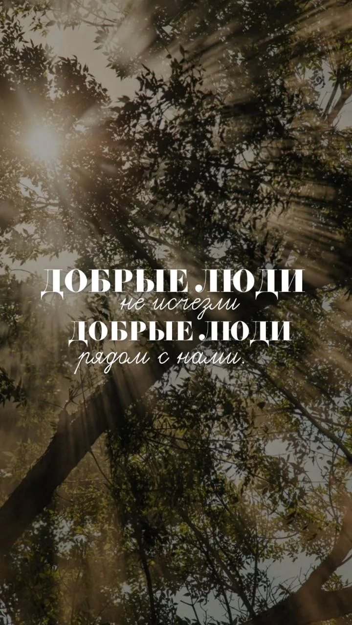 Сделала подборку фраз про добро и поддержку. Как вам?