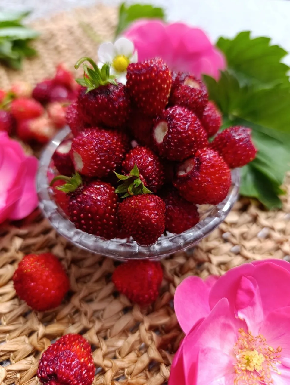 Помните вкус первой землянички с грядки? Такая медовая, тёплая, пахнет летом и детством 🍓
Лето без 