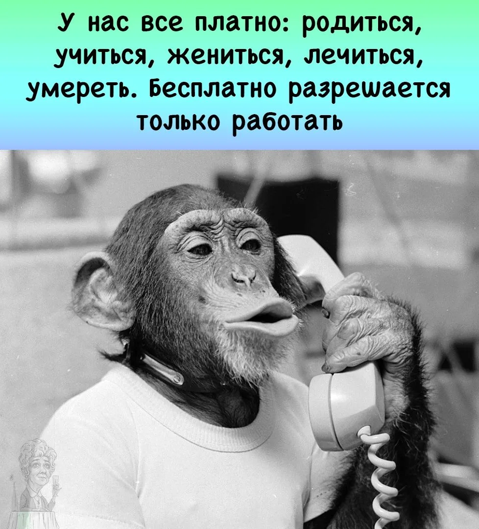 ГЛАВНАЯ ЭКОНОМИЧЕСКАЯ ИСТИНА, КОТОРУЮ НАМ ЗАБЫЛИ ОЗВУЧИТЬ ПРИ РОЖДЕНИИ.

Ставь реакцию, если твоя вз