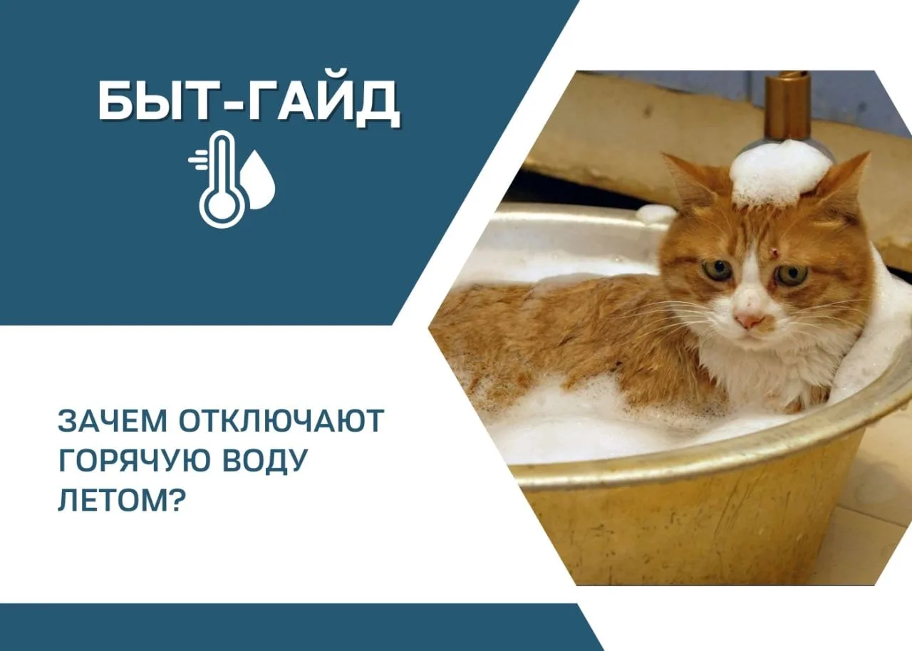 Каждое лето один и тот же вопрос: почему в 21 веке мы до сих пор вынуждены мириться с о...