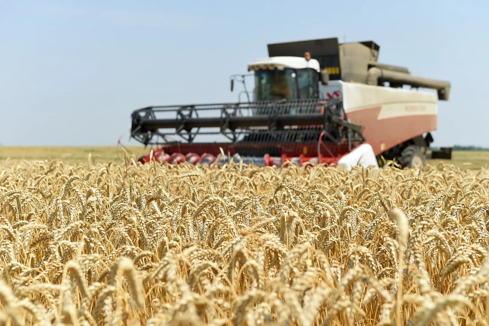 🚜 Уборочная кампания в Неверкинском районе идет полным ходом! Темпы растут с каждым дн...