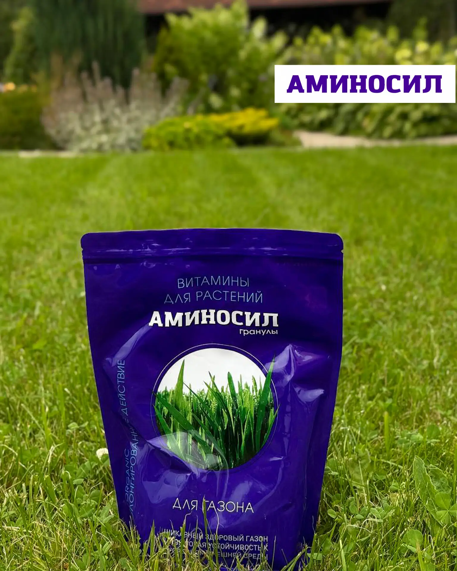 🌱 Как спасти молодой газон в жару?

Одна из самых распространённых проблем после посева газона — вы