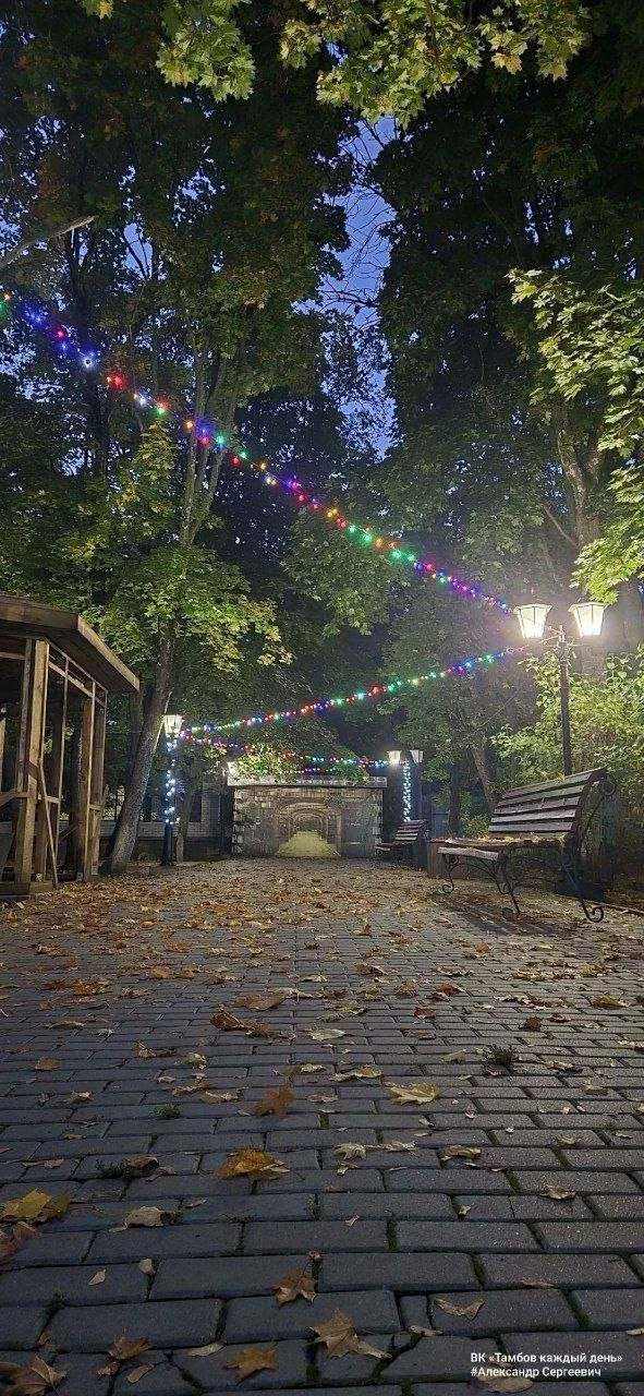 🍃Осенние краски вечернего Мичуринска