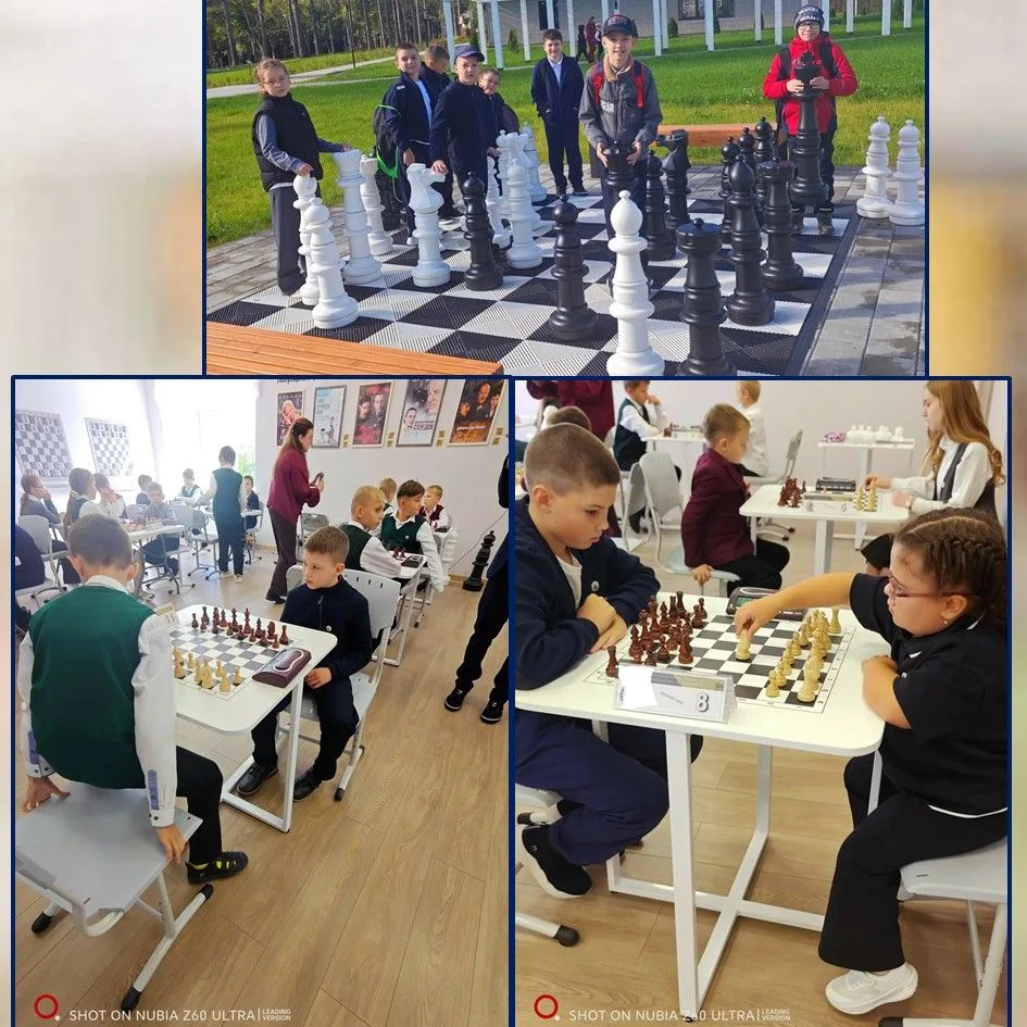 ♟ ПОСТОЯННАЯ ТРЕНИРОВКА ПАМЯТИ И ИНТЕЛЛЕКТА 🧠✨