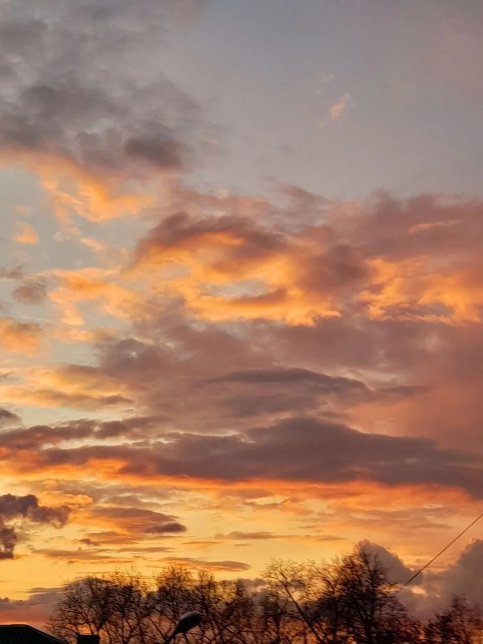 Закат сегодня 😍   Белая Березка