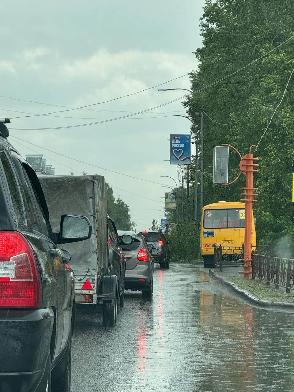 В Калтане дождём подмыло корни дерева и оно упало на проезжую часть. Предварительно, без пострадавши