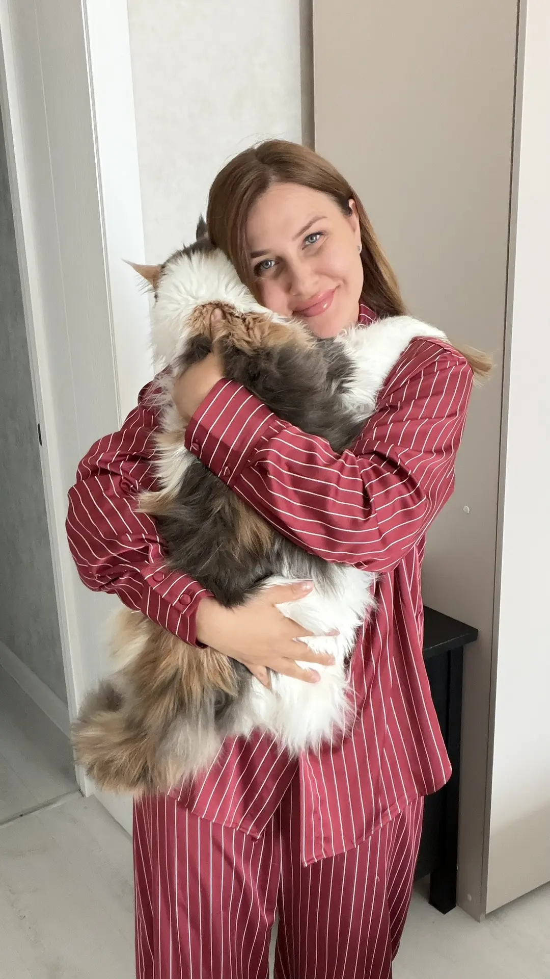 Если бы из шерсти кошек можно было вязать одежду- мы бы озолотились😹 Мейн куны линяют ...