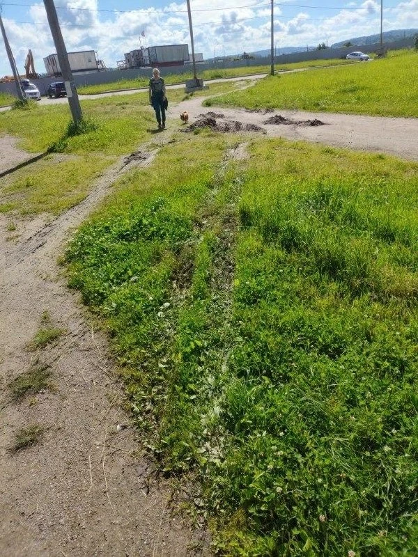 От читателя: