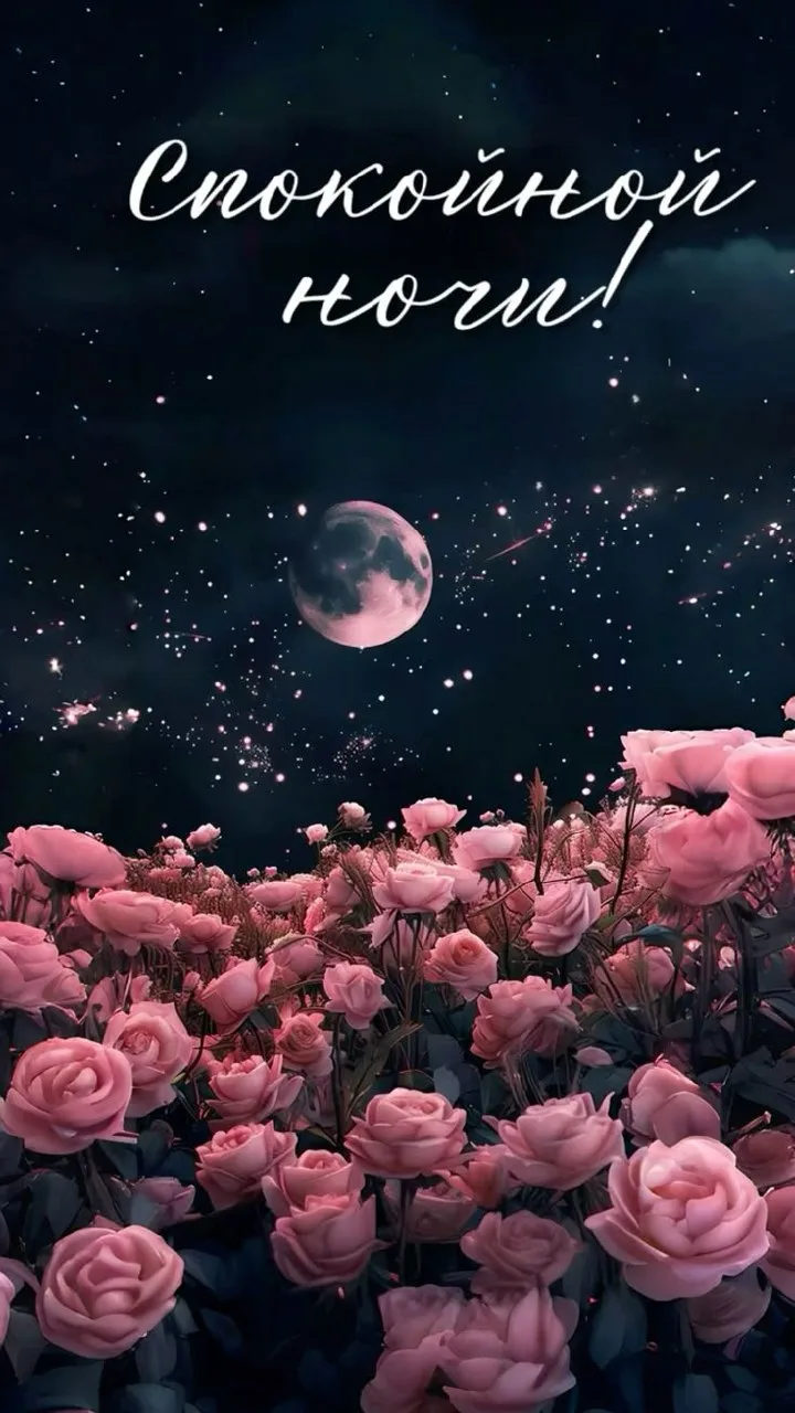 🥱 #доброй_ночи

Красивые открытки 💌
⠀в Max | в Теlegram