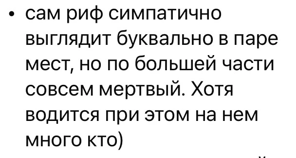 А вот этот «минус» стоит разобрать поподробнее👇🏻